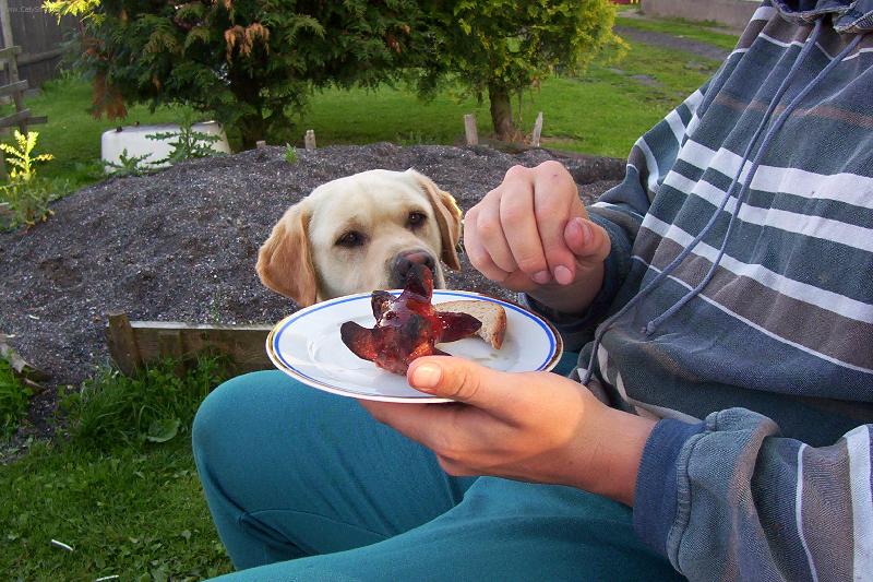 Foto: Ty mi nedáš ani kousnout?