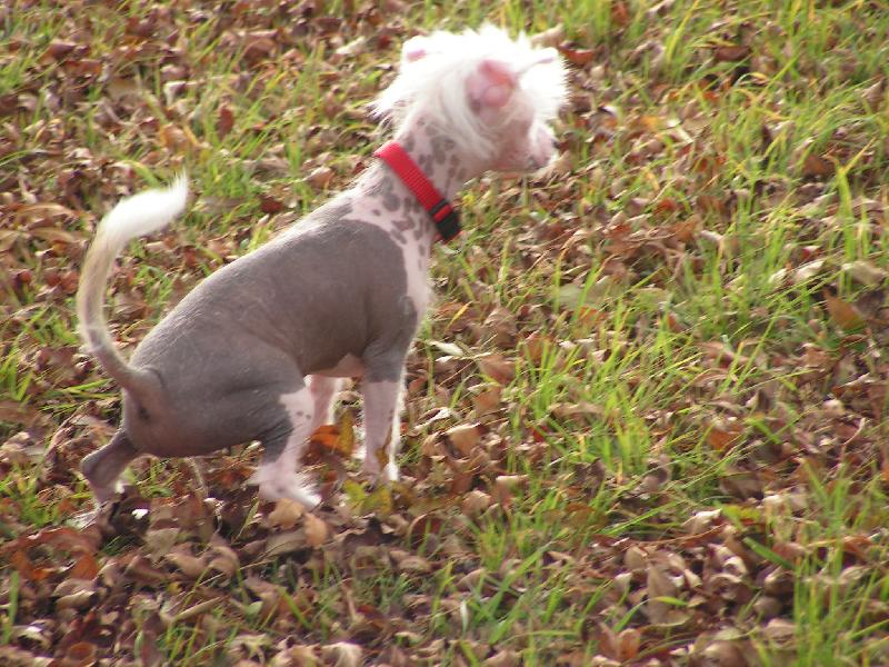 Foto: Kačenka-nekoukat,čůrám