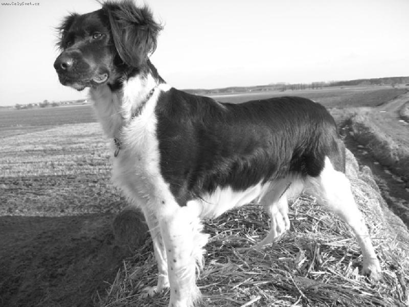 Foto: Margaret-má přehled absolutně nad vším:)