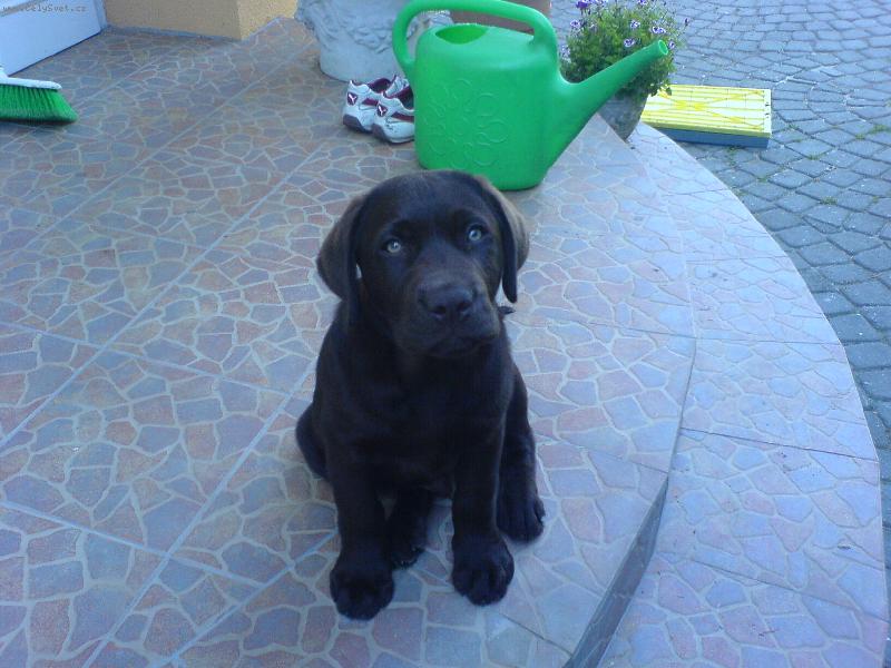 Foto: Sedím správně?-Quardian Angel