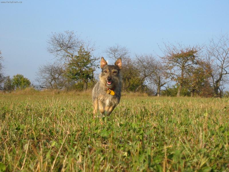 Foto: Enny-Co to zde moje uši slýší????