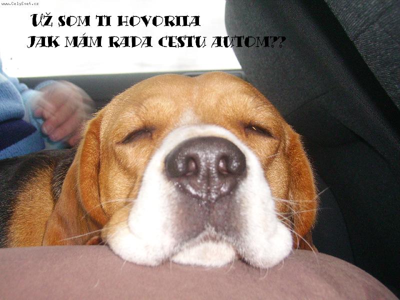 Foto: Aimee-Na ceste autem!