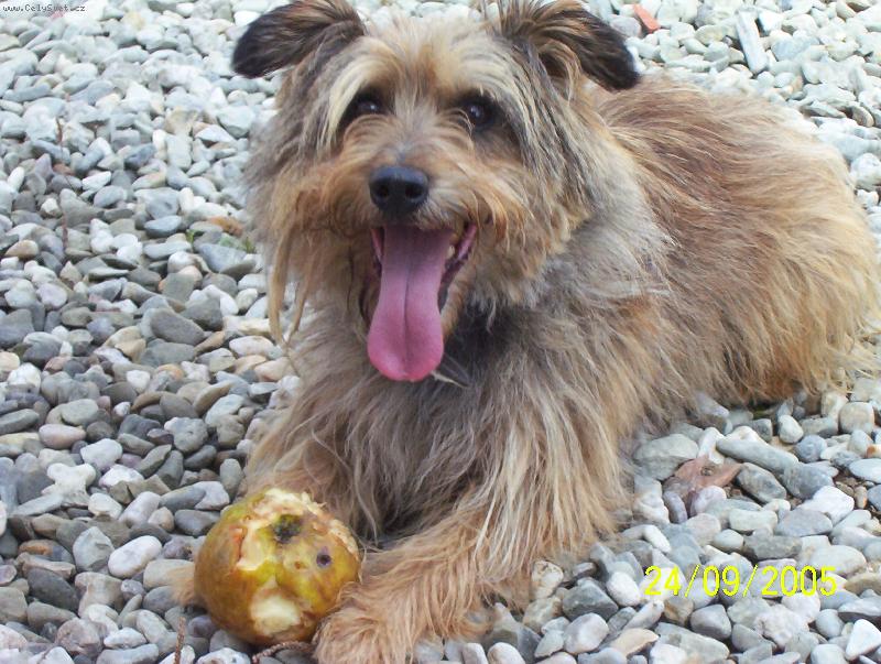 Foto: To je kráása.-je to bojovník