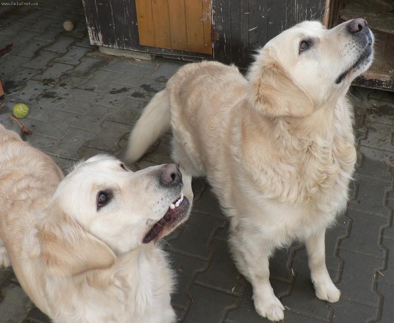 Foto: Eminka s Danečkem  - naši miláčci