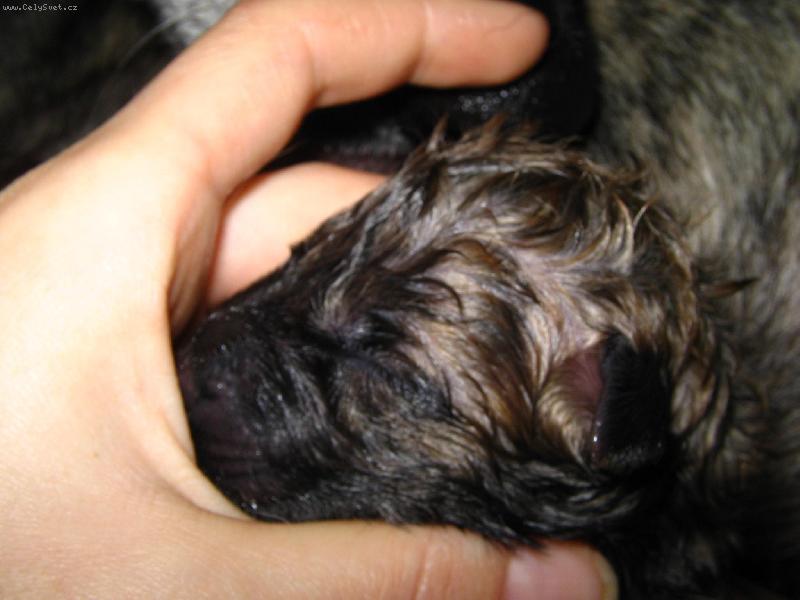 Foto: Jsem na světě