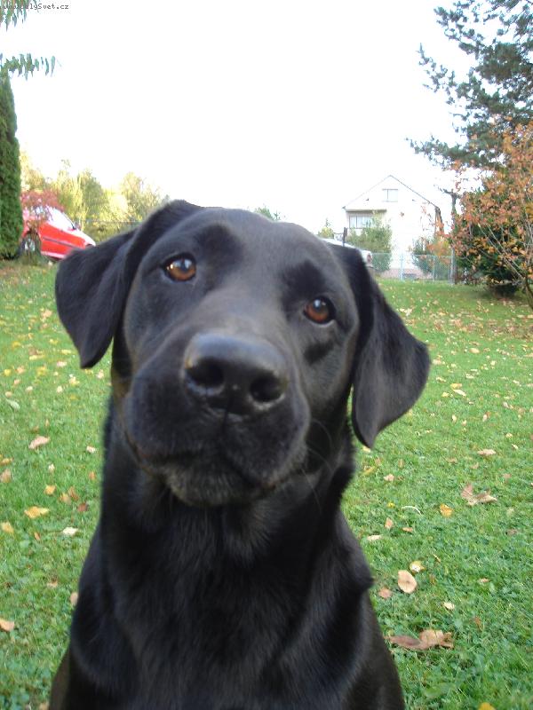 Foto: Co jsi říkal?