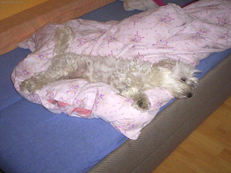 Foto: unavená Barunka =)