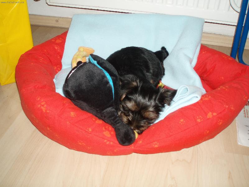 Foto: Cleo-hmmm to je dobrota..