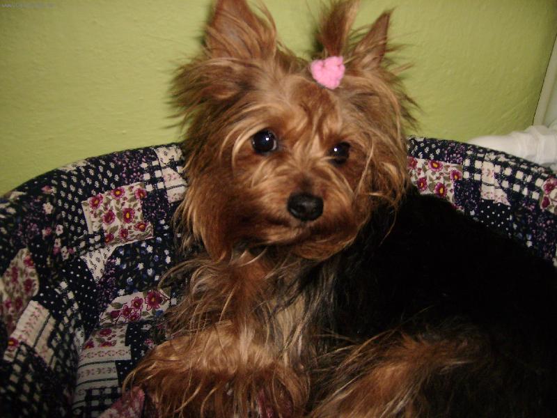 Foto: Naše modelka...