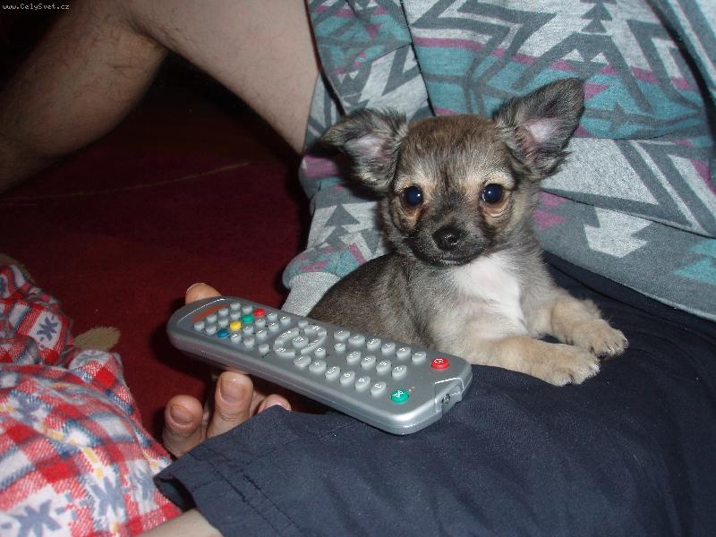 Foto: Tady mi je dob�e