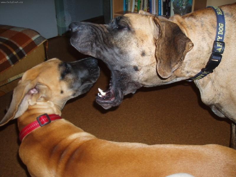 Foto: Matka domlouvá dceři.-momentka