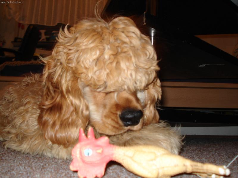 Foto: Arnold-Arny přemýšlí