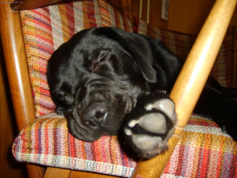 Foto: Nechrápeme...