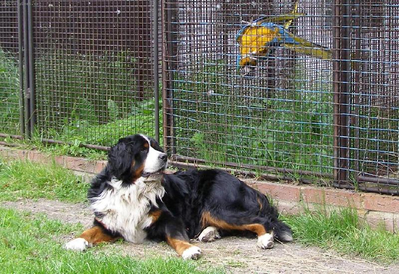 Foto: dvě drbny- no nekecej, fak jo?