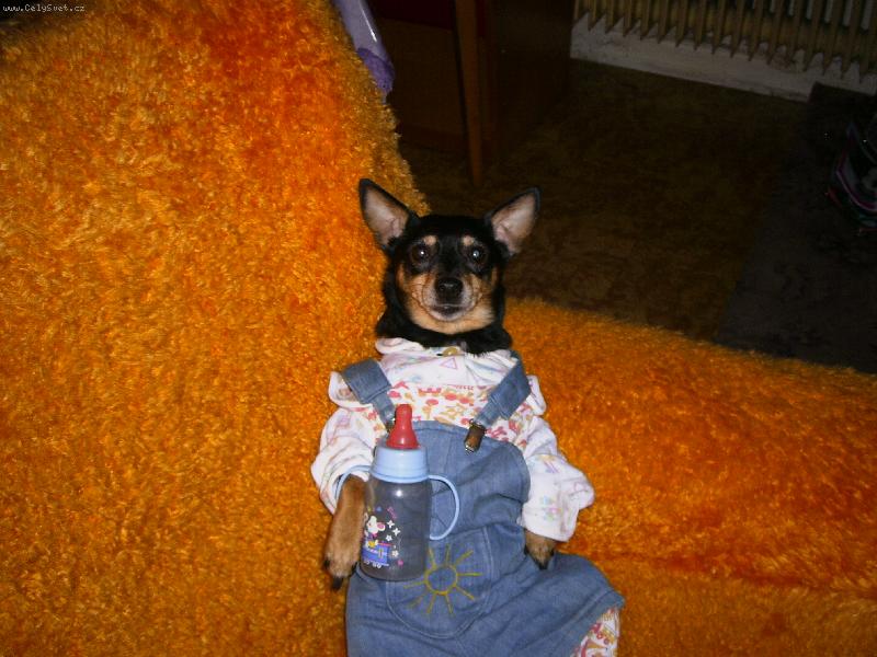 Foto: miminko :)-Betynka právě papá :)