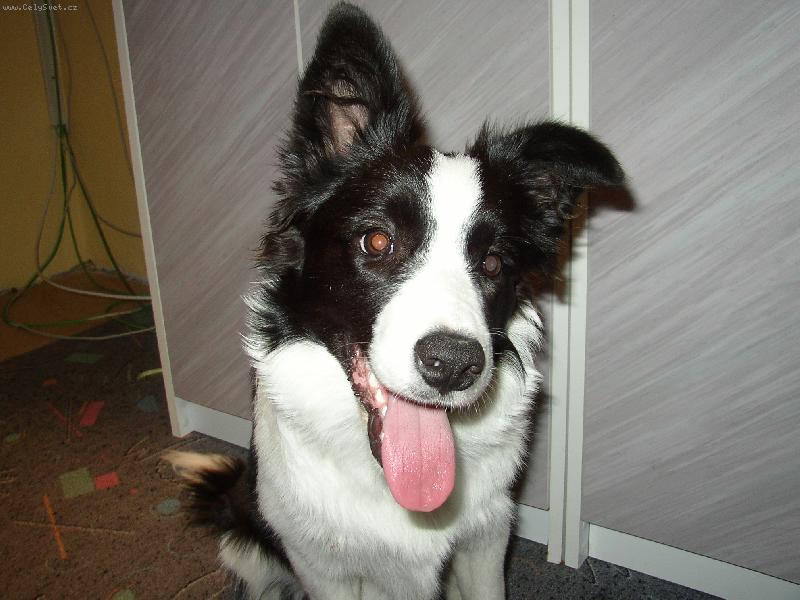 Foto: ája-ucho dolu