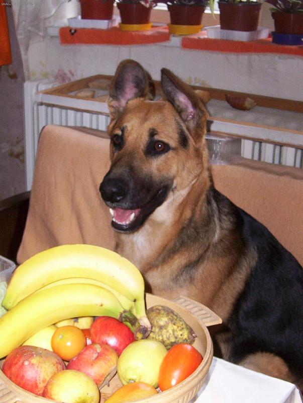 Foto: Argošek-Zdravá výživa