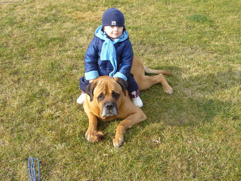 Foto:  NAŠI MILÁČCI-A JEDEM