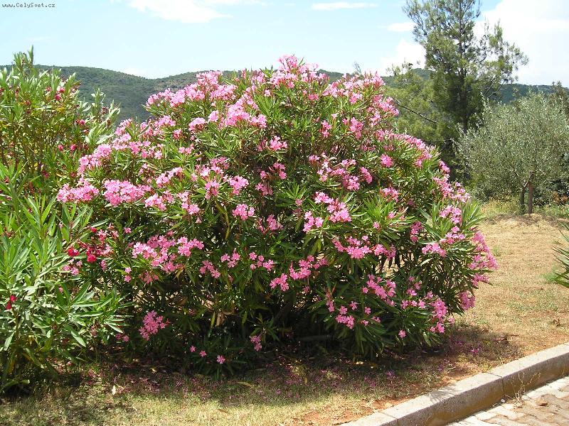 Foto: úlovek-nádherná no néééé????