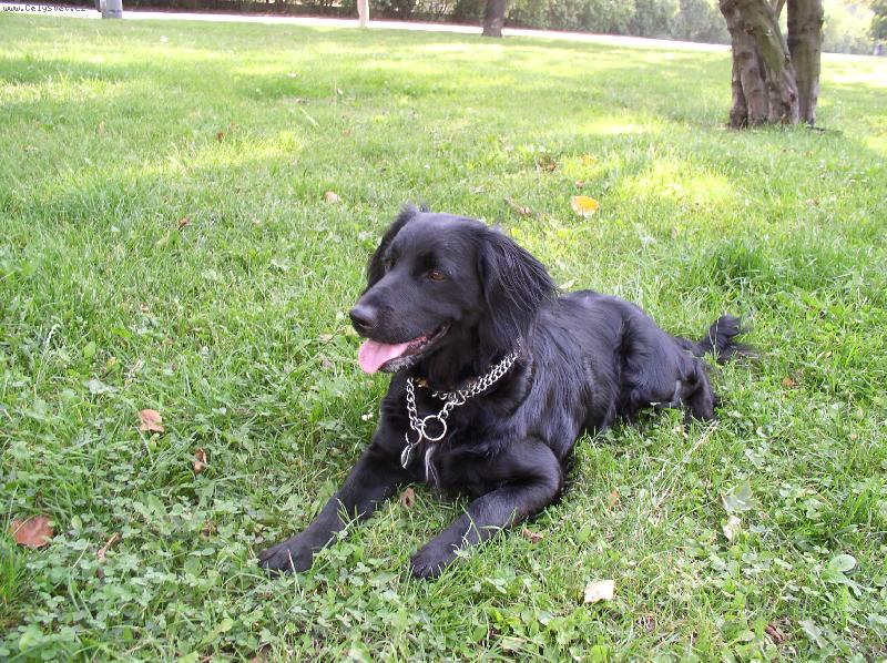 Foto: naše nalezená princezna