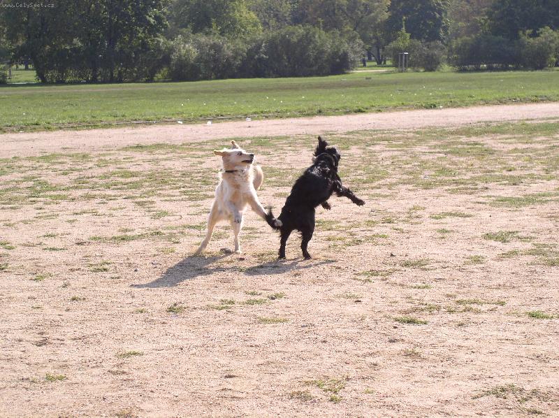 Foto: Dovádění venku