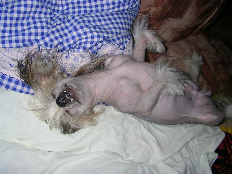 Foto: Já spinkám!!