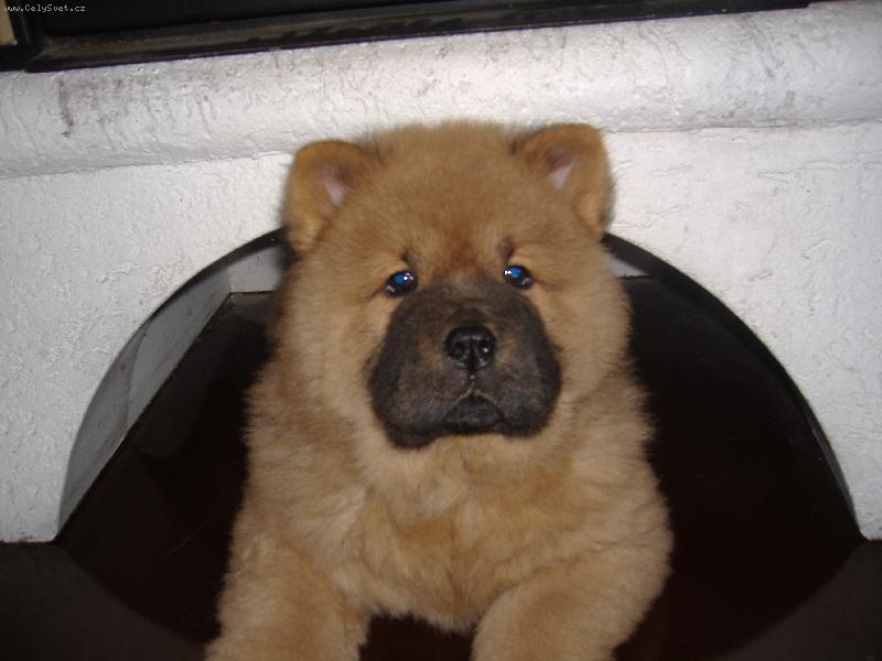 Foto: MATÝSEK-Hledal mě někdo