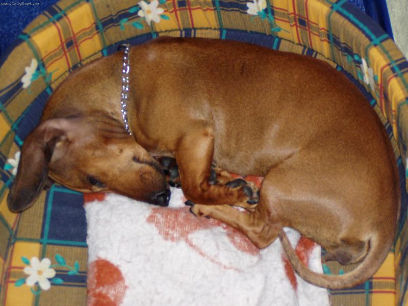 Foto: ja spííímmm :D-mojee sladoučká agíí :D