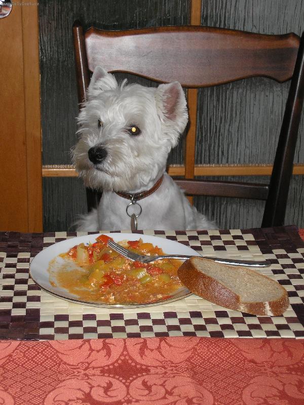 Foto: Není nad správné stolování