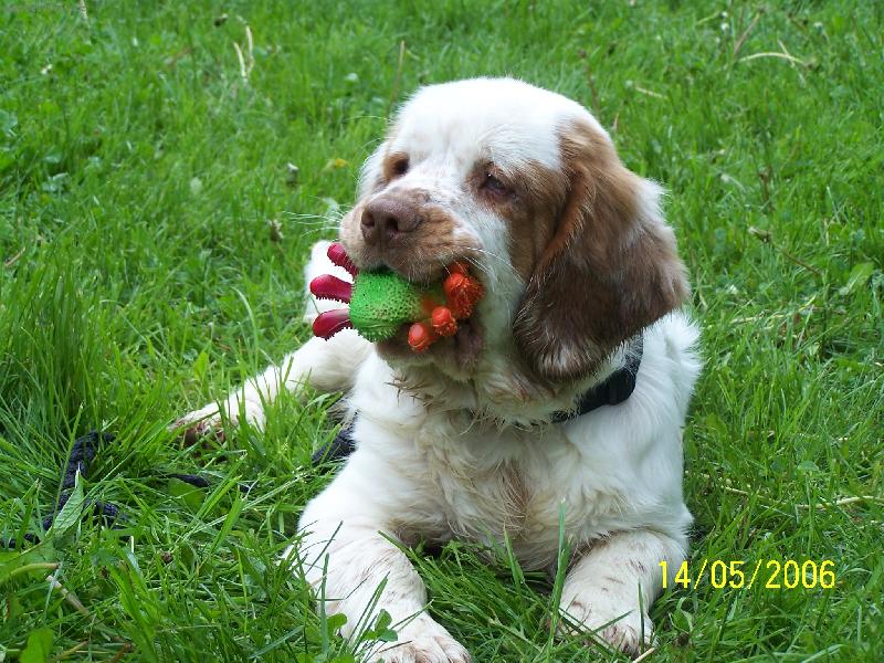 Foto: Ludánek s pavoučkem-Ludánek na výstavě