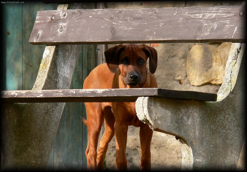 Foto: Schovávaná . . .