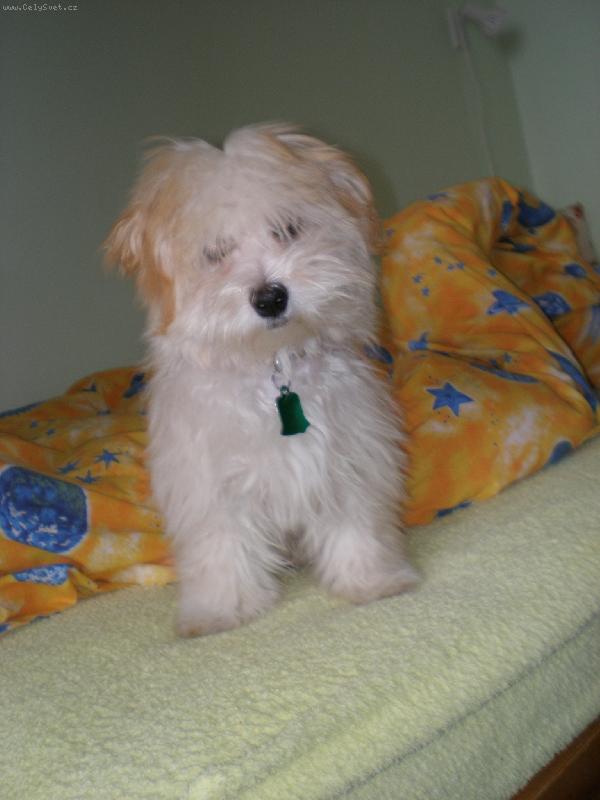 Foto: Laura 5 měsíců