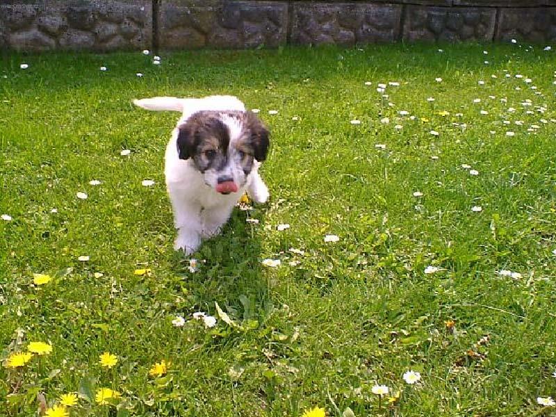 Foto: Bejby-Už běžím :o)