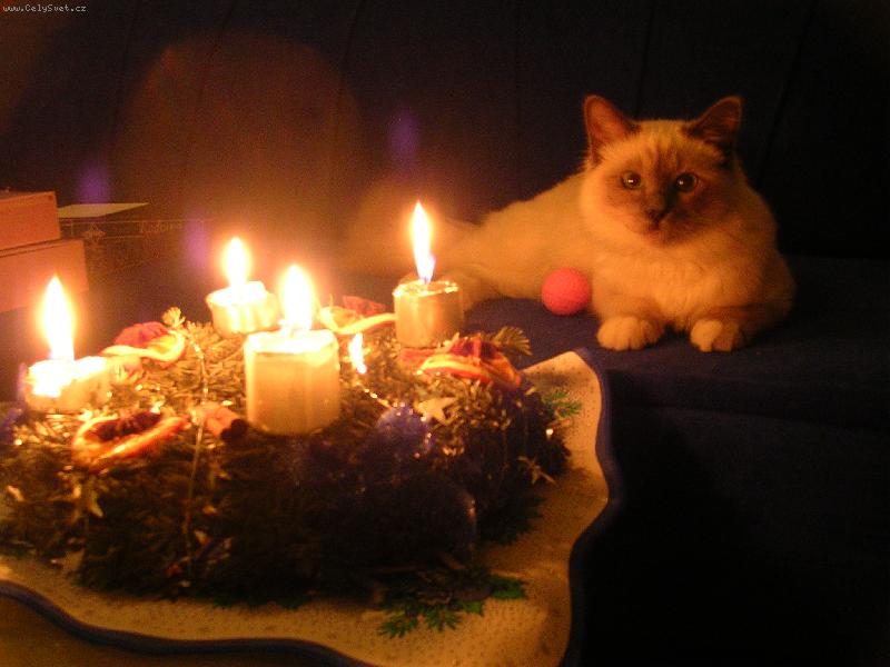 Foto: u� aby tady byly v�noce :-)