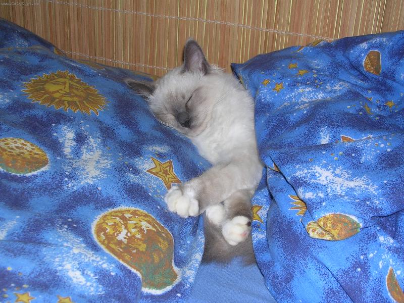 Foto: chrrrrrr....p.....