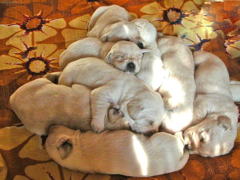 Foto: Pyramida štěstí-...hlavně,že je teplíčko...