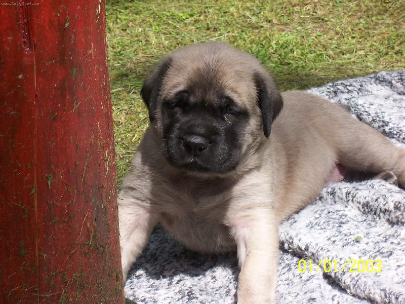 Foto: pohled na divný svět