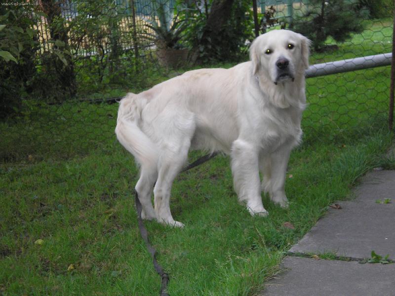 Foto: miluji zahrádku-Co tam máte?