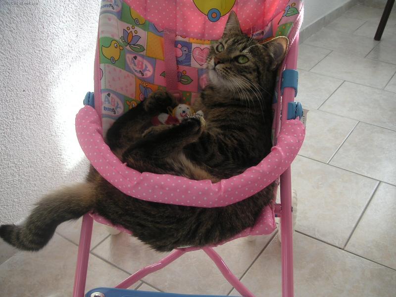 Foto: už jsem připravená, můžeme jet