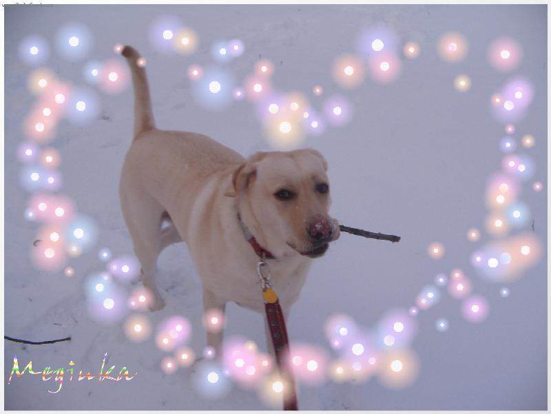 Foto: Meginka-Srdíčko moje na procházce:))