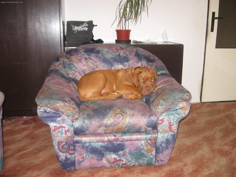 Foto: Mil��kov�-Baz��ek