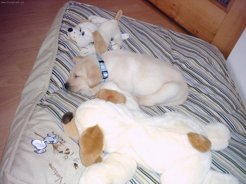 Foto: Pohodička-Jsem to ale krasavec,že?