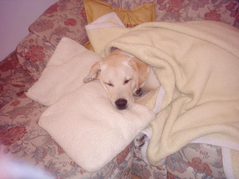 Foto: Jako člověk-a já snad člověk nejsem?