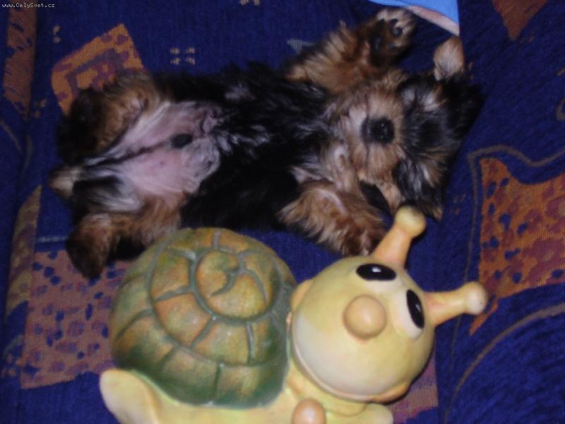 Foto: Jolly-pohodička