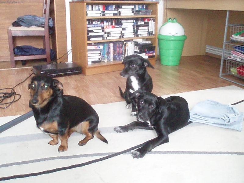 Foto: Holky...-nše štěstíčka