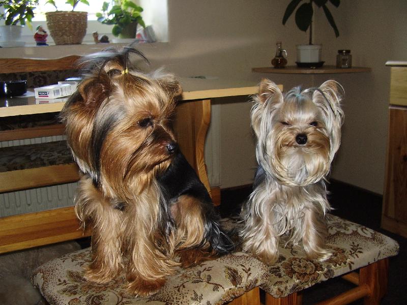 Foto: Lenny a Jolly-to je teda úsměv...