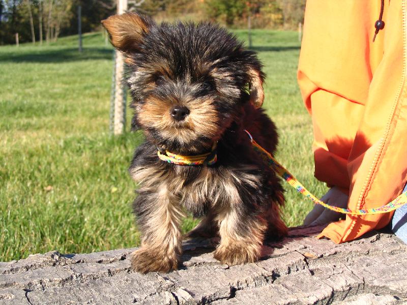 Foto: Malinkatej Kubíček!