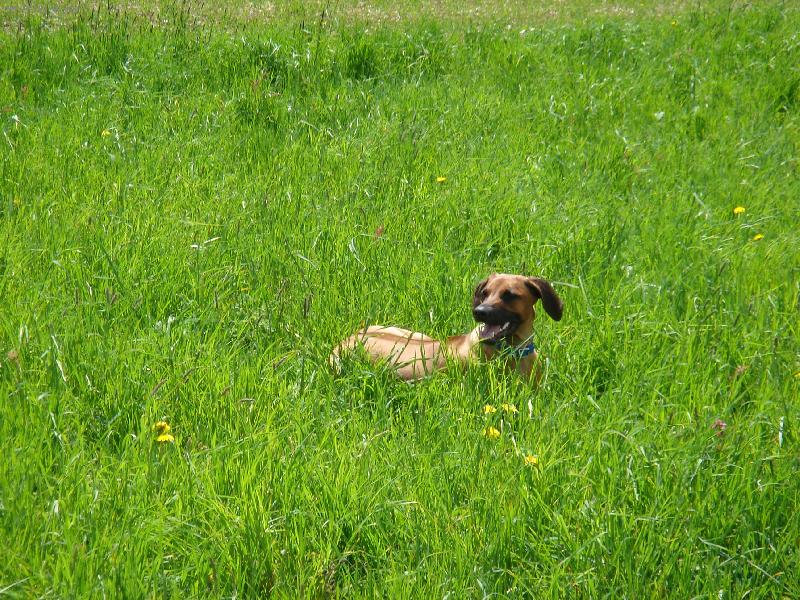 Foto: pohodička na horách-larapes