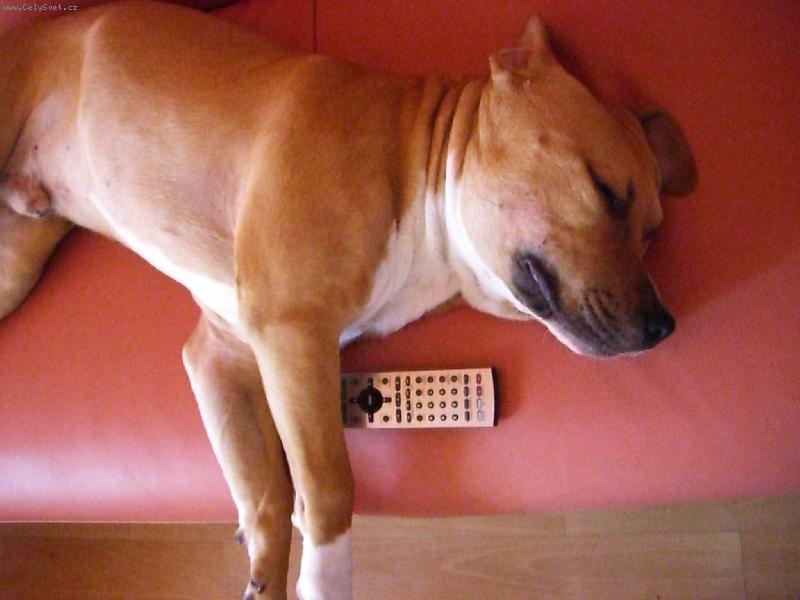 Foto: v té telce fakt nic není-dam si 20 a pak jdu ven