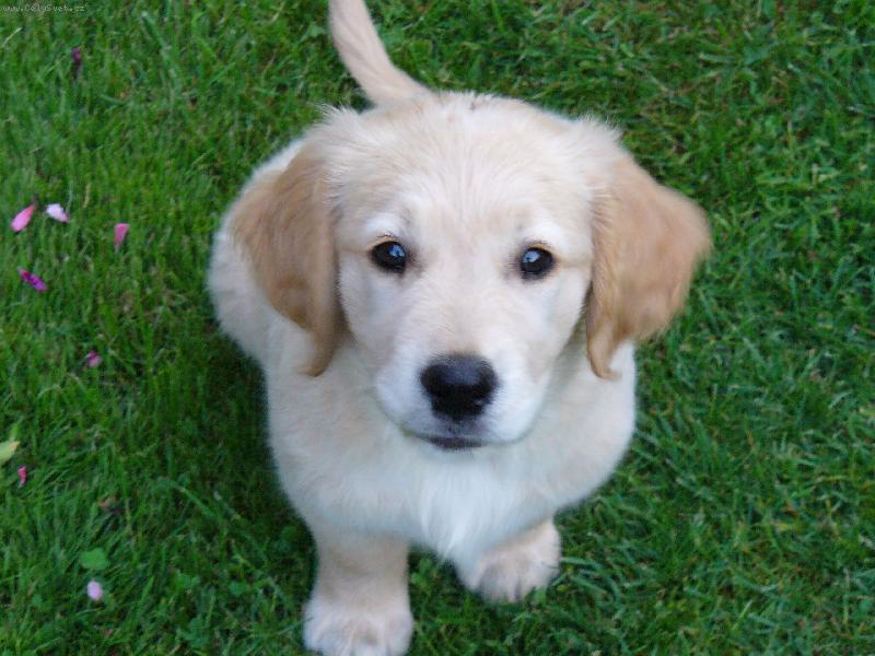 Foto: kuk!to jsem já Akim